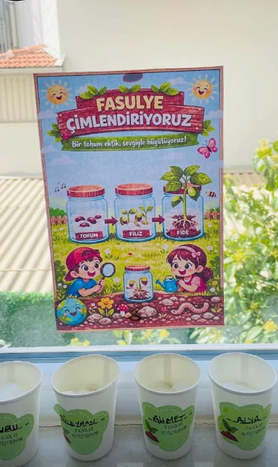 Bitki Yetiştirme